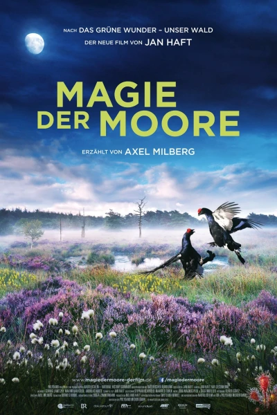 Magie der Moore - Magie der Moore