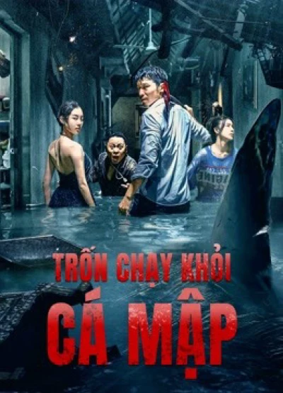 Trốn Chạy Khỏi Cá Mập - Escape of Shark